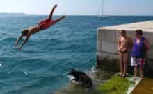 Großbildansicht swimdogkopfsturz © Kilian Tribbeck in neuem Fenster Redaktionsservice SEO Text Translation Munich Übersetzungsservice Englisch München